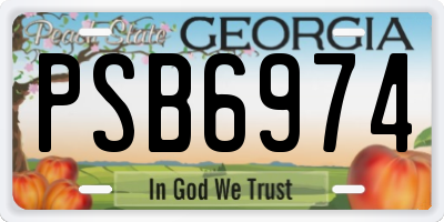 GA license plate PSB6974