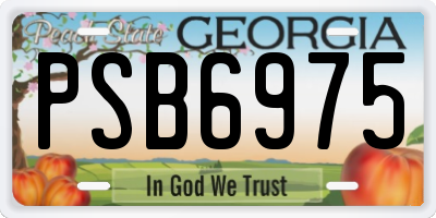 GA license plate PSB6975