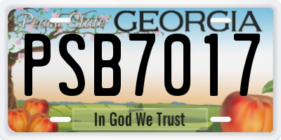 GA license plate PSB7017