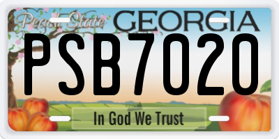 GA license plate PSB7020