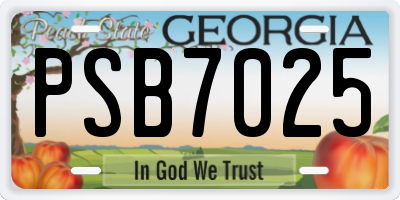 GA license plate PSB7025