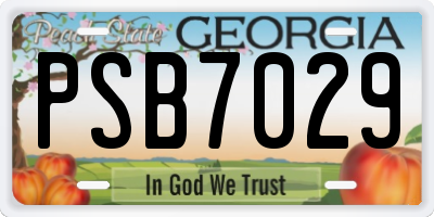GA license plate PSB7029