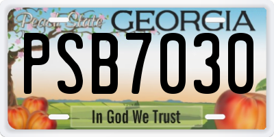 GA license plate PSB7030