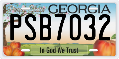 GA license plate PSB7032