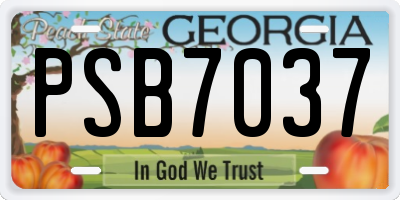 GA license plate PSB7037