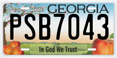 GA license plate PSB7043