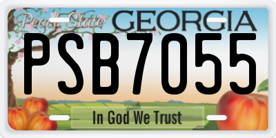 GA license plate PSB7055