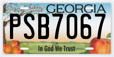 GA license plate PSB7067