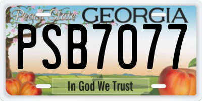 GA license plate PSB7077