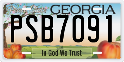 GA license plate PSB7091