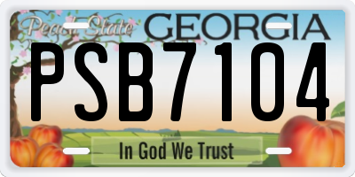 GA license plate PSB7104