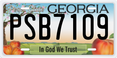GA license plate PSB7109