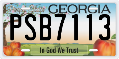 GA license plate PSB7113