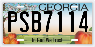 GA license plate PSB7114