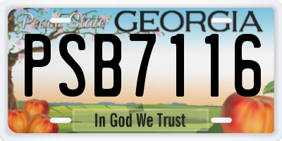 GA license plate PSB7116