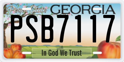 GA license plate PSB7117
