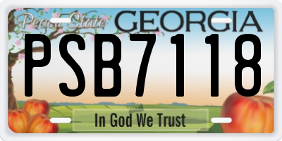 GA license plate PSB7118