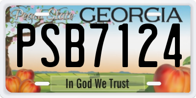 GA license plate PSB7124