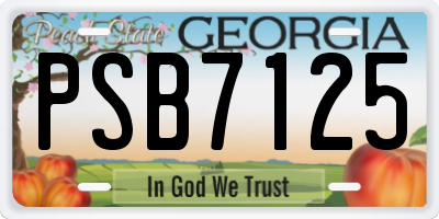 GA license plate PSB7125
