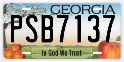 GA license plate PSB7137