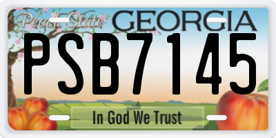 GA license plate PSB7145