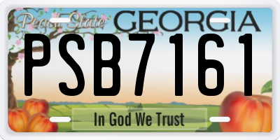 GA license plate PSB7161