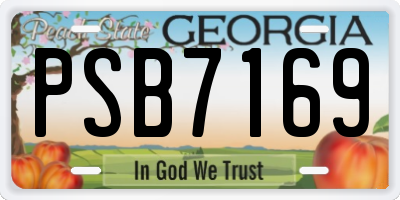 GA license plate PSB7169