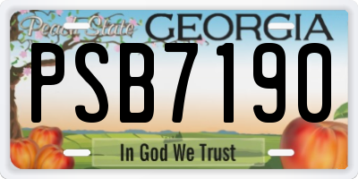 GA license plate PSB7190