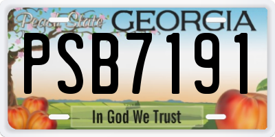 GA license plate PSB7191