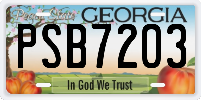 GA license plate PSB7203