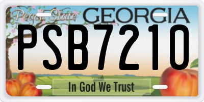 GA license plate PSB7210