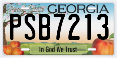 GA license plate PSB7213