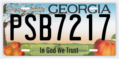 GA license plate PSB7217