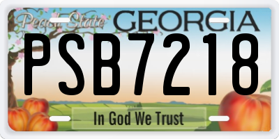 GA license plate PSB7218