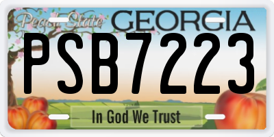 GA license plate PSB7223