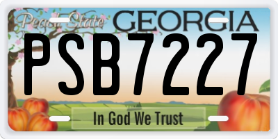 GA license plate PSB7227