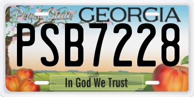 GA license plate PSB7228