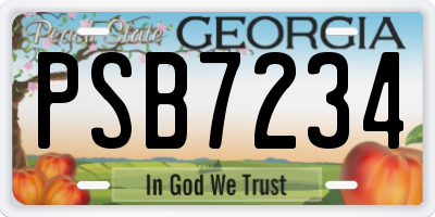 GA license plate PSB7234