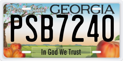 GA license plate PSB7240