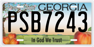 GA license plate PSB7243