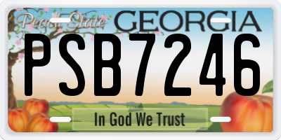 GA license plate PSB7246