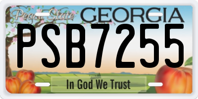 GA license plate PSB7255