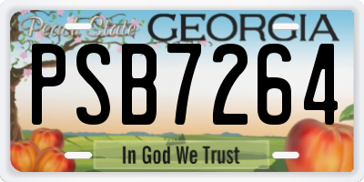 GA license plate PSB7264