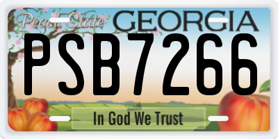GA license plate PSB7266