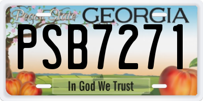 GA license plate PSB7271