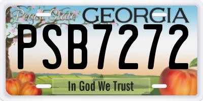 GA license plate PSB7272