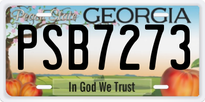 GA license plate PSB7273
