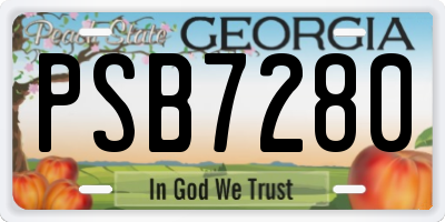 GA license plate PSB7280