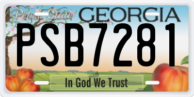 GA license plate PSB7281