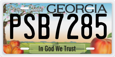 GA license plate PSB7285